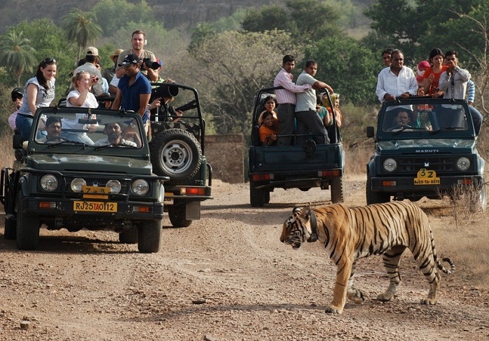 Ranthambore Trip